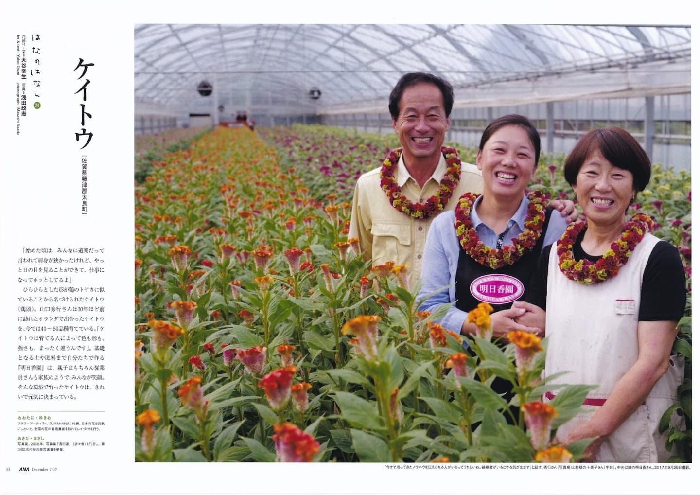 ANA機内誌　翼の王国