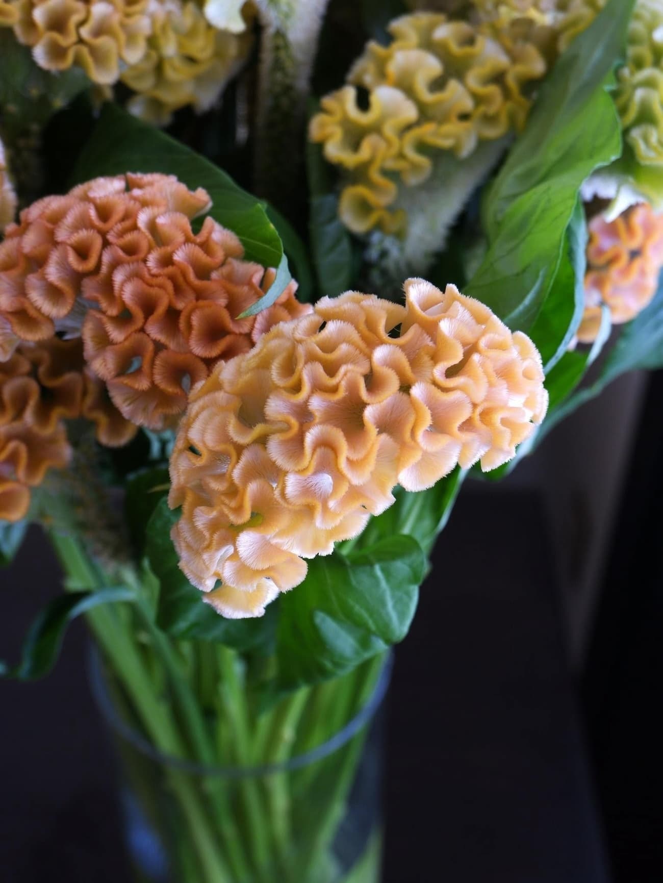 アスカセレクト　ベージュMIX