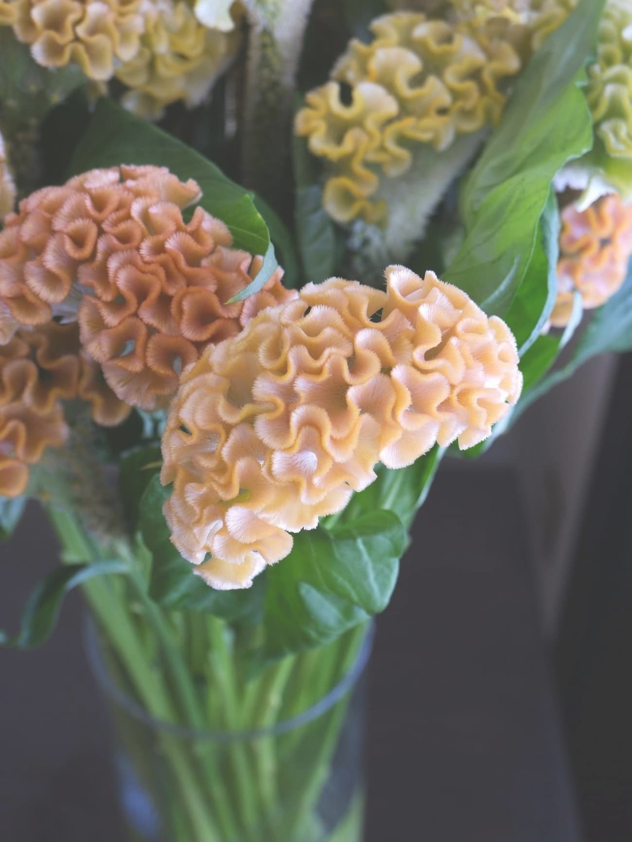 アスカセレクト　ベージュMIX